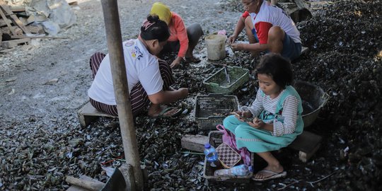 Potret Anak-Anak Pengupas Kerang Temani Ibunya Bekerja