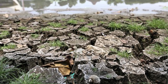 Sumur dan Sungai Kering, Warga Karawang Terpaksa Mandi Pakai Air Tercemar Limbah