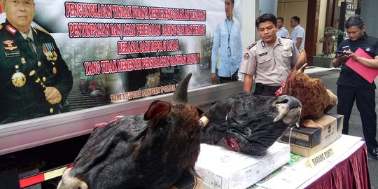 Tak Penuhi Standar Sanitasi Pangan, Polisi Sita 5,5 Ton Daging Impor