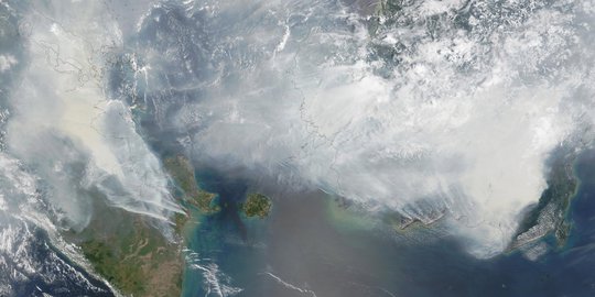 Sejak Januari 2019, 42.740 Hektare Hutan dan Lahan Terbakar