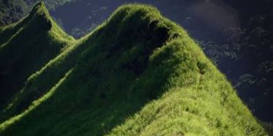 Fakta-Fakta Penyebab Meninggalnya Thoriq di Gunung Piramid