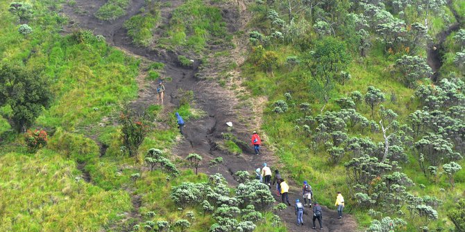 Fakta-Fakta Penyebab Meninggalnya Thoriq di Gunung Piramid