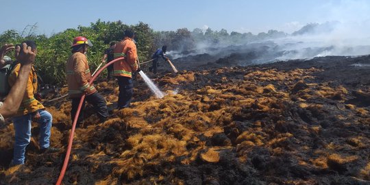 Pabrik Olahan Sabut Kelapa di Kaltim Terbakar, Kerugian Rp3 Miliar