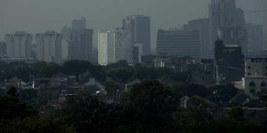 Bappenas Pastikan Lokasi Ibu Kota Baru Tak Ganggu Hutan Lindung dan Masyarakat Adat