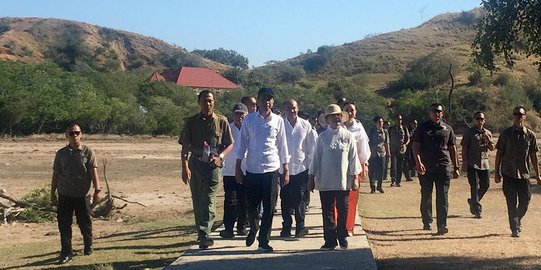 Pulihkan Habitat Binatang, Jokowi Setuju Pulau Komodo Ditutup untuk Wisatawan