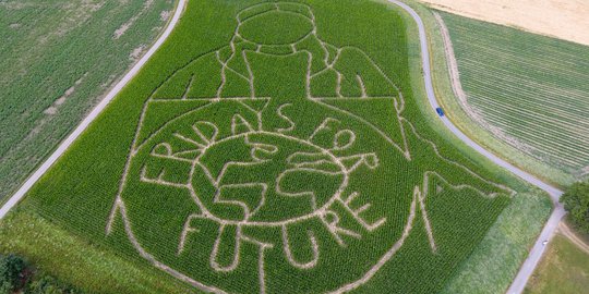 Potret Aktivis Iklim Greta Thunberg Hiasi Padang Jagung