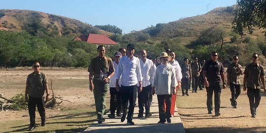 Utamakan Konservasi, Jokowi Ingin Turis ke Pulau Komodo Dibatasi