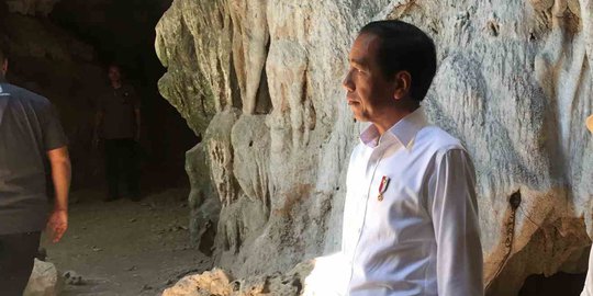 Jokowi Segera Selesaikan Rekomendasi Amnesti untuk Baiq Nuril