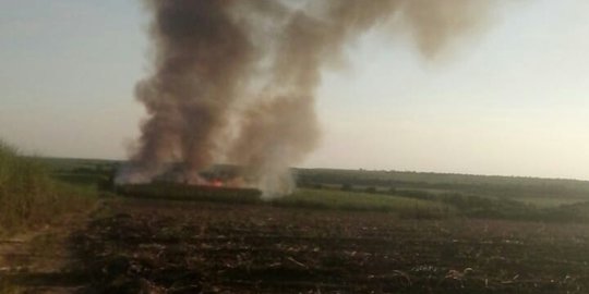 3 Hektare Lahan PTPN dan Semak Belukar di Ogan Ilir Terbakar