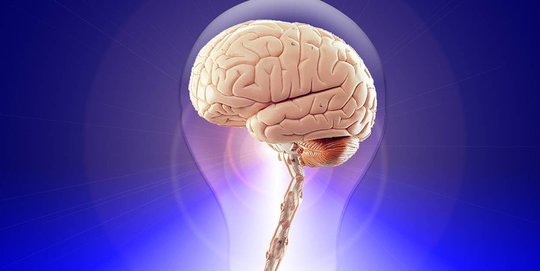 Ini Usia yang Disarankan untuk Mulai Deteksi Dini Kerusakan Otak