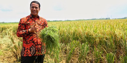 Akademisi Dukung Kebijakan Pembangunan Pertanian Mentan Amran