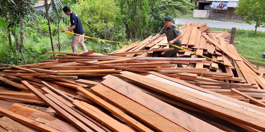 Sita 2.089 Batang Kayu Ilegal di Nunukan, KLHK Tetapkan 3 Tersangka