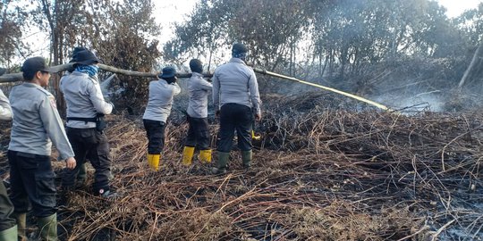 BNPB Sebut Kekeringan Berpotensi Picu Kebakaran Hutan dan Lahan