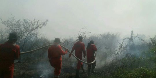 Kebakaran Lahan di Sumsel Kembali Terjadi, Pemadam Kesulitan Cari Air