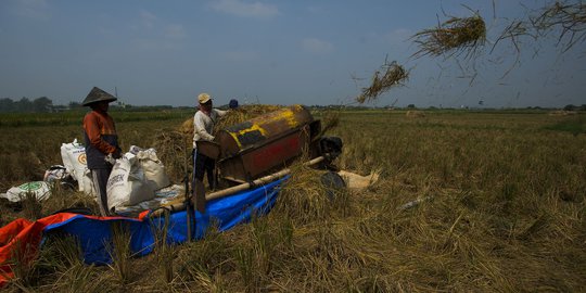 Tergerus Pembangunan, Jawa Barat Kehilangan 10 Persen Lahan Pertanian Setiap Tahun