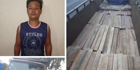 Polisi Amankan Truk Berisi Kayu Hasil Illegal Logging dari Rimba Baling