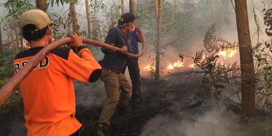 Tujuh Desa di Kapuas Hulu Kalbar Rawan Karhutla