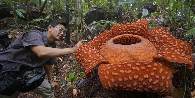 9 Tanaman Berbentuk Paling Aneh dan Tempat untuk Menemukannya