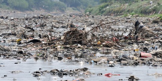 Prediksi 2030 Sampah Lebih Banyak dari Ikan, Menteri Susi Ajak Setop Pakai Plastik