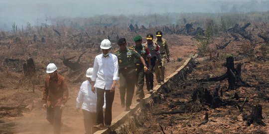 Kasasi Jokowi Soal Kebakaran Hutan Ditolak MA, Menteri Siti Ajukan PK