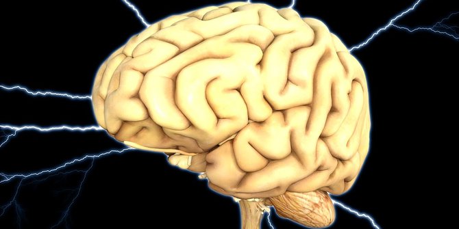 10 Hal Sederhana yang Bisa Bantu Membuat Otak Kamu Lebih Optimal