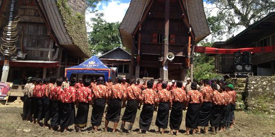 Serunya Berkunjung ke Bori Kalimbuang, Destinasi Ala Stonehenge Milik Toraja