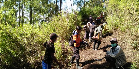 Hutan di Gunung Panderman Terbakar, Kera-Kera Panik Lihat Api