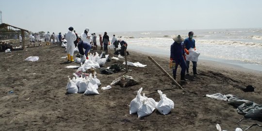 Tim Ahli Pertamina Dikerahkan Tangani Minyak Tumpah di Pantai Utara Karawang
