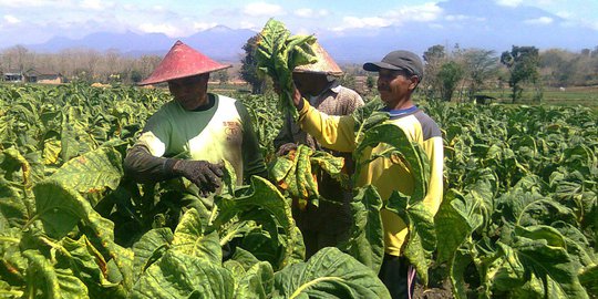 Kemenperin Dukung Pengembangan Sektor Tembakau Alternatif