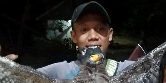 Berburu Elang Bido Buat Digoreng, Pria Asal Pandeglang Ditangkap