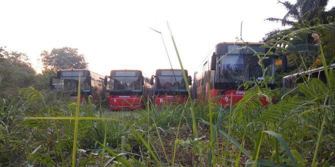 Puluhan Bus Transjakarta di Pool PPD Ciputat Dirambati Tanaman Liar