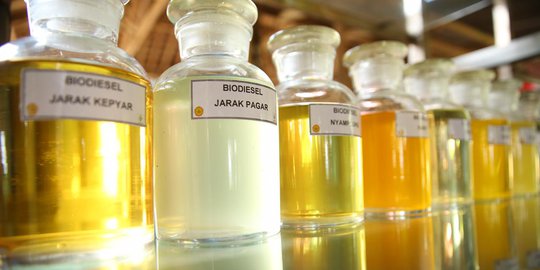 Kemendag Tuding Uni Eropa 'Gempur' Indonesia dengan Pengenaan Bea Masuk Biodiesel