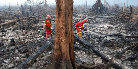 Pemadaman Kebakaran Lahan di Riau Terkendala Karena Sumber Air Mengering