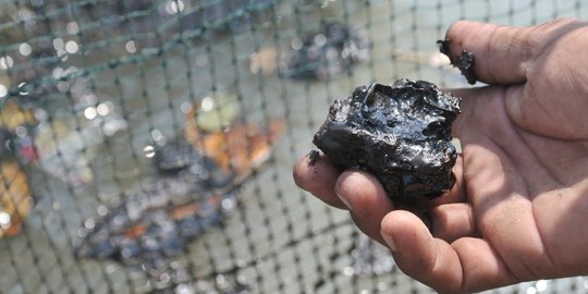 Tumpahan Minyak Pertamina Cemari Perairan Muara Gembong