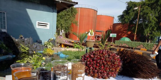 mengupas pengenaan bea masuk biodiesel oleh uni eropa dan strategi pemerintah