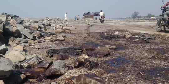 Ratusan Nelayan Karawang Dikerahkan Bersihkan Tumpahan Minyak Pertamina