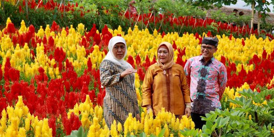 Cegah Abrasi, Gubernur Khofifah Ajak Masyarakat Probolinggo Tanam Cemara udang