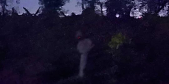 65+ Hantu Pocong Kedungwaru HD Terbaru