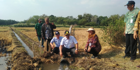 Atasi Kekeringan, Brebes Manfaatkan Pompanisasi dari Sumber Air