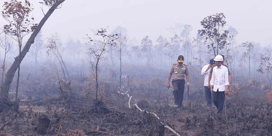 Sepanjang Juli 2019, 140 Hektare Lahan di Sumsel Terbakar