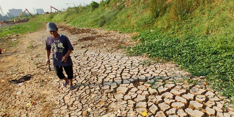 Musim Kemarau 24 Daerah Di Jawa Timur Darurat Kekeringan Merdeka Com Musim Kemarau 24 Daerah Di Jawa Timur Darurat Kekeringan Merdeka Com