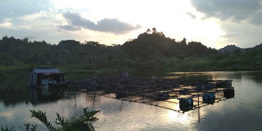 35 Anak Tewas di Kolam Eks Tambang di Kaltim, Komnas HAM Sebut Rekomendasi Diabaikan