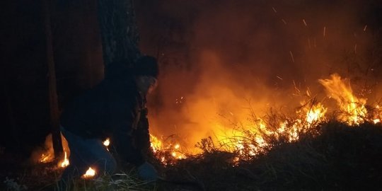 Pasca Kebakaran, Pendakian ke Arjuna Ditutup Sementara