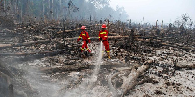 Kebakaran Lahan Gambut Tak Bisa Hanya Andalkan Water Booming