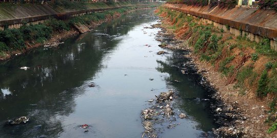 Kemarau, Endapan Sampah Kali Ciliwung Muncul ke Permukaan