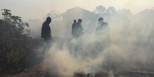 Kebakaran Lahan di Riau, 5 Perusahaan Dinyatakan Lalai