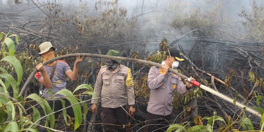 Petugas Kesulitan Padamkan Kebakaran Hutan di Pelalawan