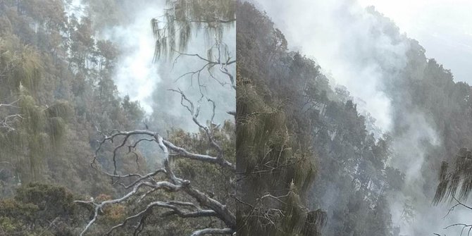 Kebakaran Hutan Gunung Arjuno Capai 70 Hektare