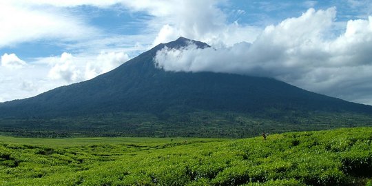 Gunung Kerinci Erupsi, Abu Vulkanik Setinggi 800 Meter