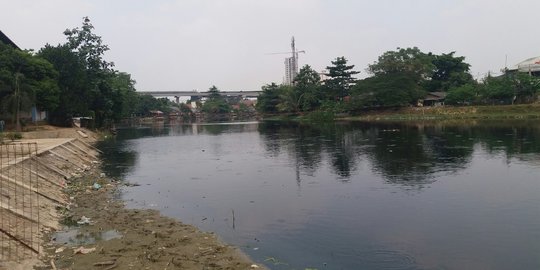 Dampak Pencemaran, Penghuni Kali Bekasi Menyisakan Ikan Sapu-Sapu